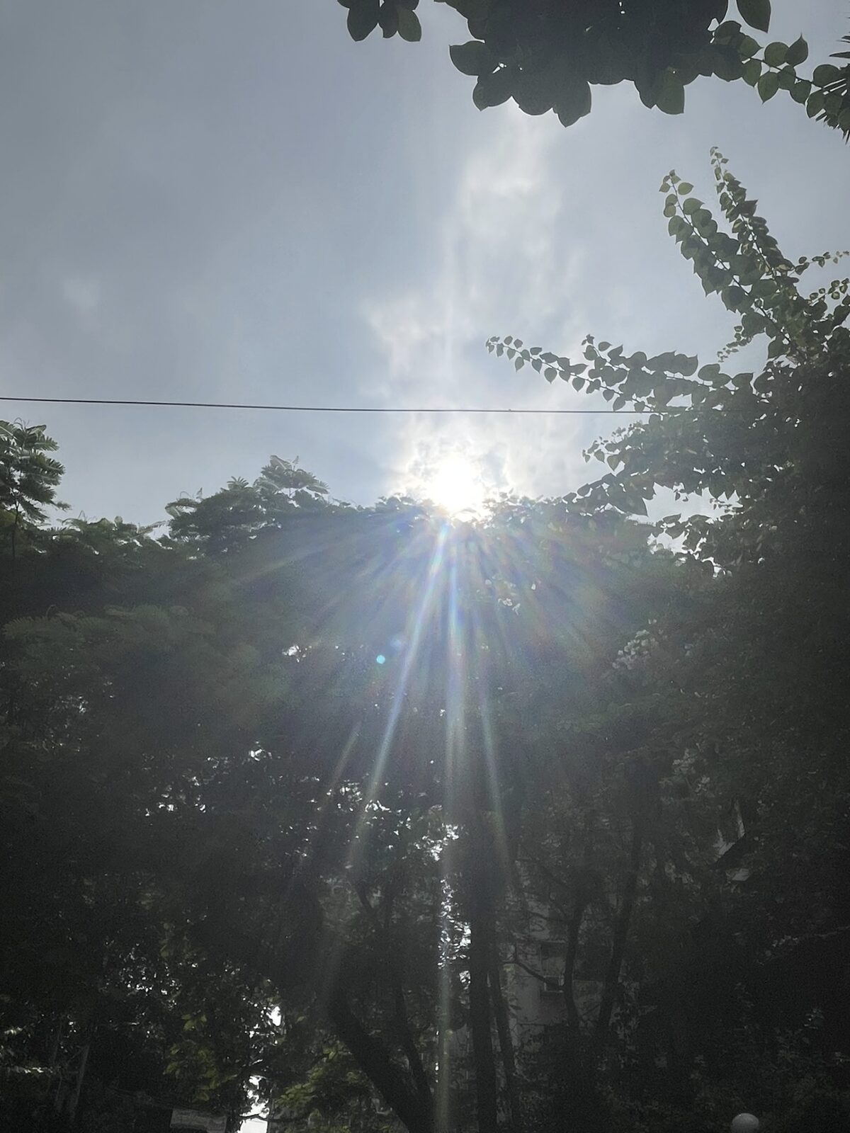 sunlight folded into spectrum colors through trees